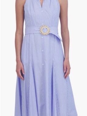 Eliza J Light Blue Striped Belted Maxi Dress